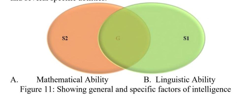 Two Factor Theory of Intelligence